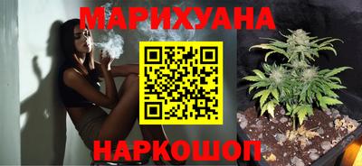 сатива Нальчик