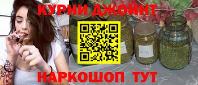 сатива Нальчик