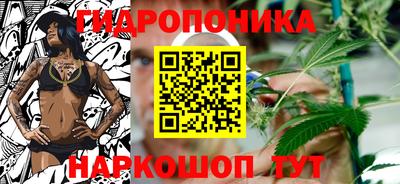 сатива Нальчик