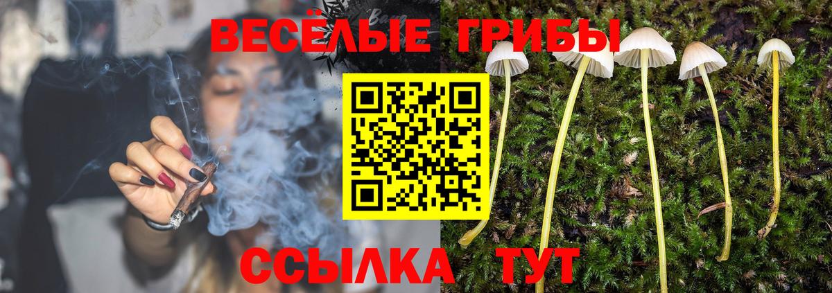 купить   Галлюциногенные грибы мицелий  Вход с VPN  Сургут 