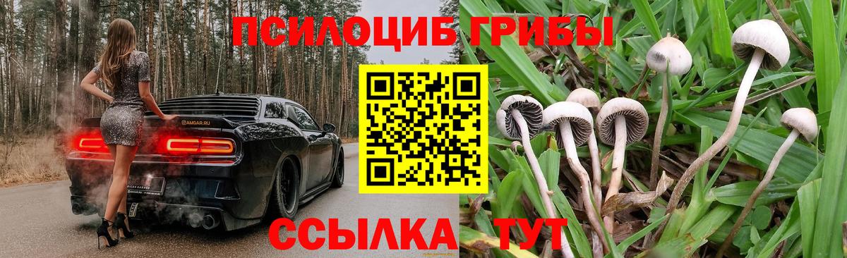 Псилоцибиновые грибы GOLDEN TEACHER Сургут